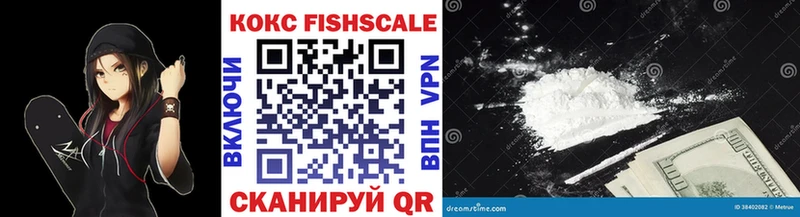 Кокаин Fish Scale  кракен сайт  Печора 