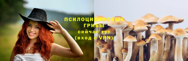 шишки Беломорск