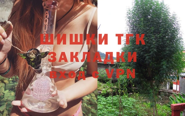 шишки Беломорск