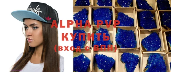 шишки Беломорск