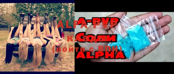 шишки Беломорск