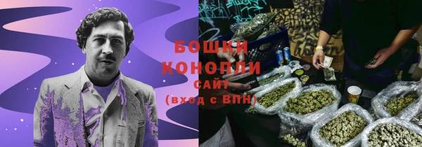 индика Дегтярск