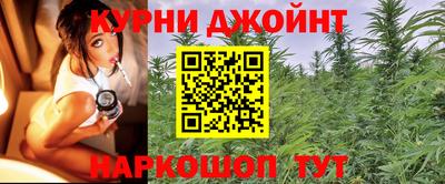 a pvp Заводоуковск