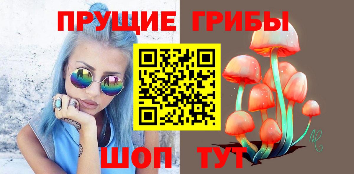 Печора  Псилоцибиновые грибы прущие грибы  Вход с VPN 