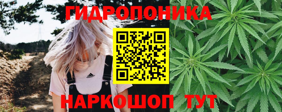 Конопля AK-47  Каннабис гибрид  Печора  Вход с VPN  Каннабис Bruce Banner 
